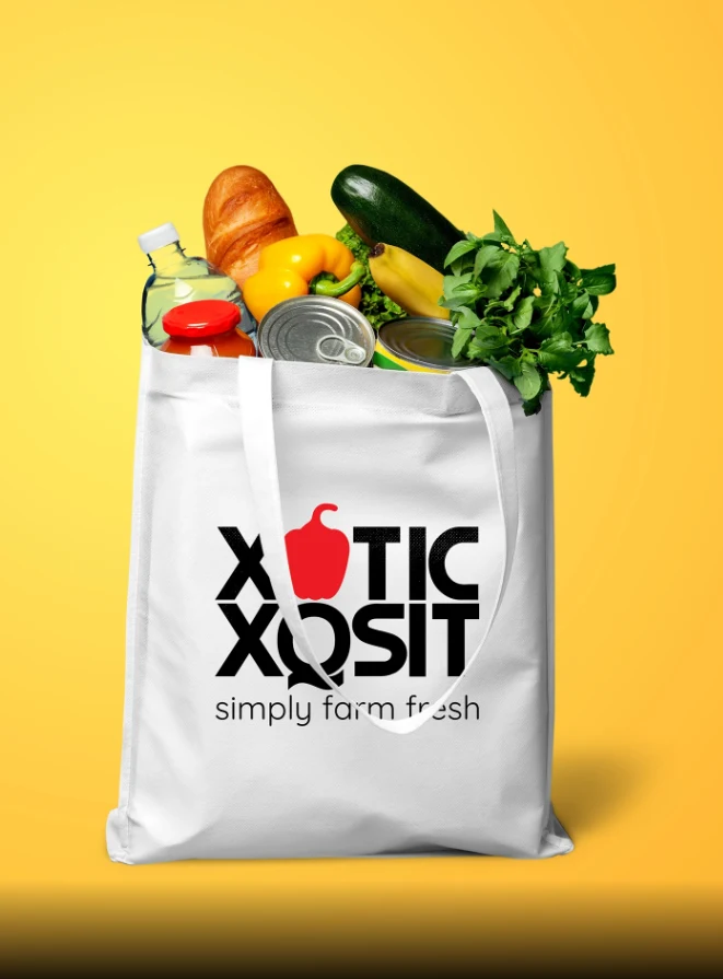 Xotic Xqsit, Concept, logo and branding